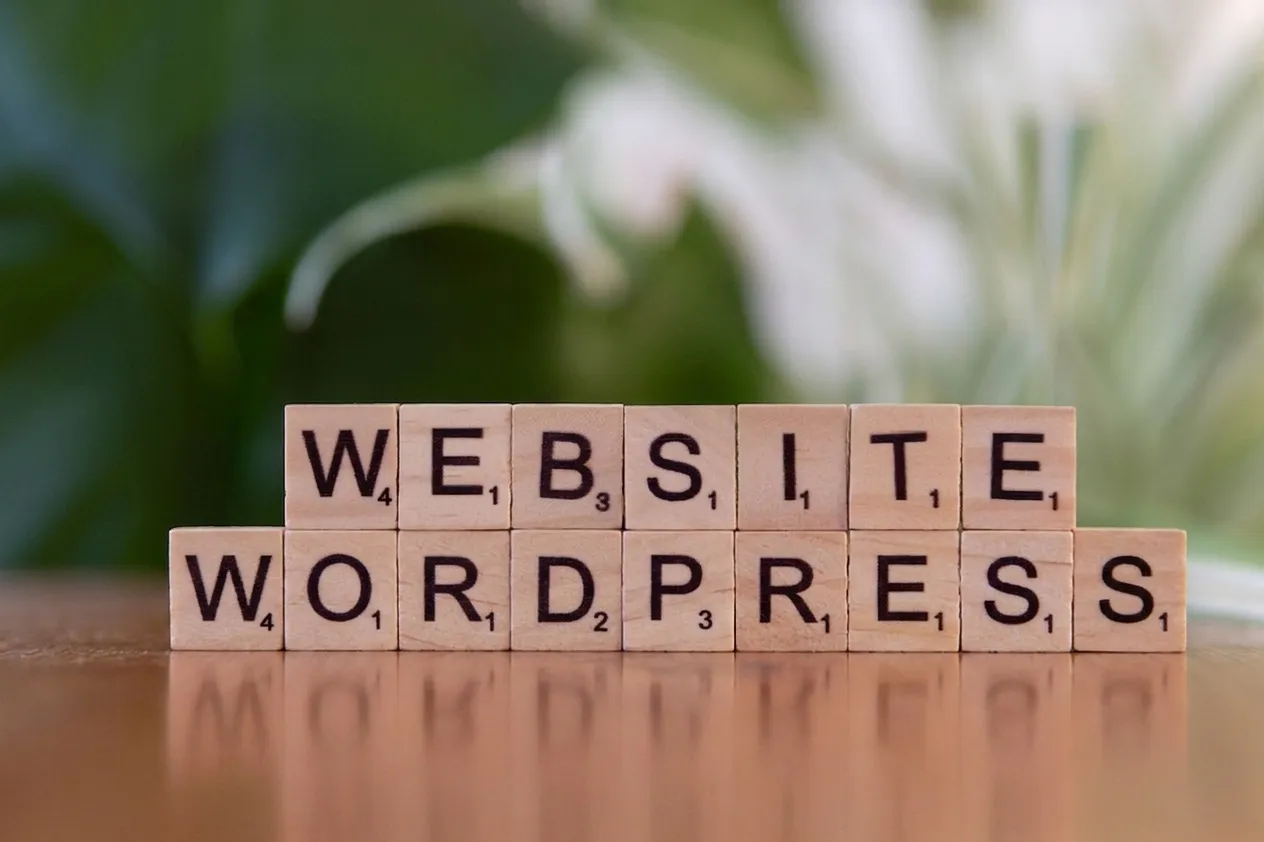 WordPress ve Özel Web Siteleri: SEO ve Hız Farkları