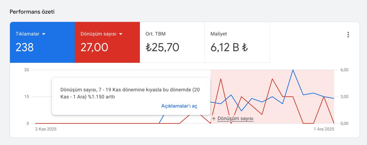 Kampanya performans özeti