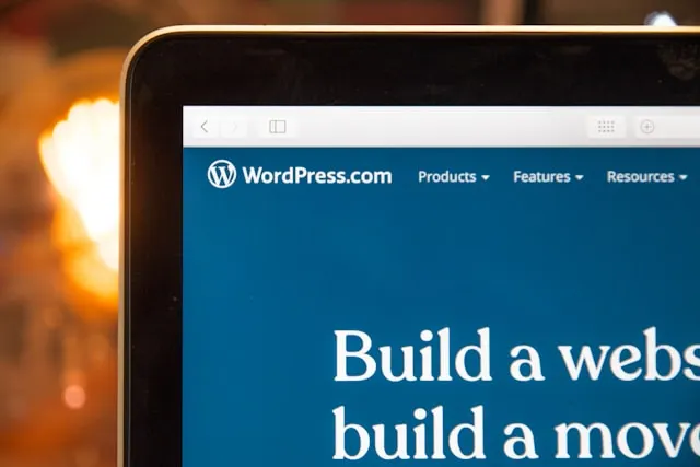 WordPress mi Özel Yazılım mı? Hangi Durumda Hangisini Tercih Etmelisiniz?